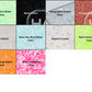 Jumbo Paperclip Blanks-  Sublimation Acrylic- 5 Pack