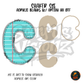 Letter C Teal Notebook Paper shaker set acrylic blanks