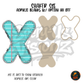 Letter X Teal Notebook Paper shaker set acrylic blanks