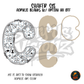 Letter C School Doodle shaker set acrylic blanks