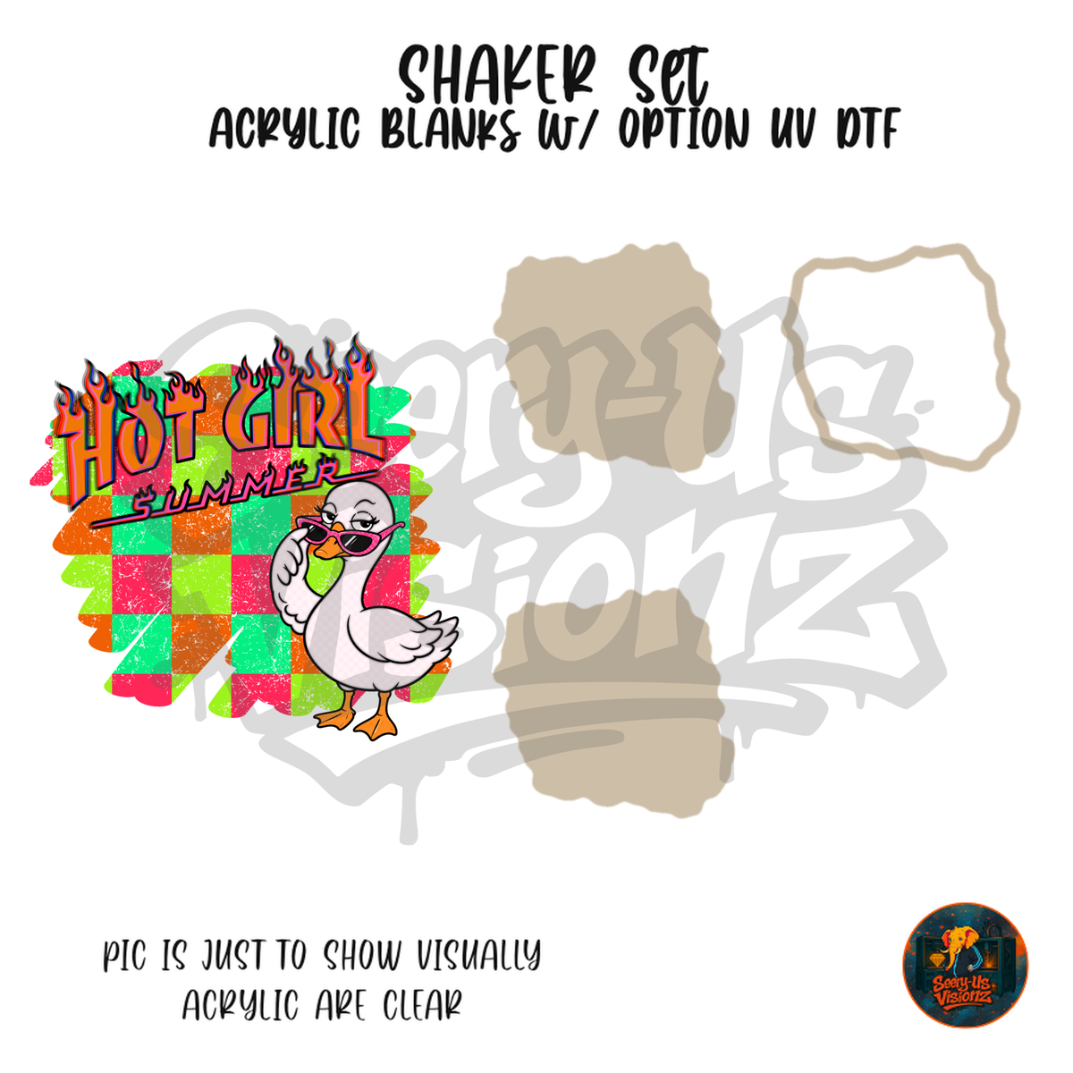 Hot Girl Summer Goose Checkered shaker set acrylic blanks