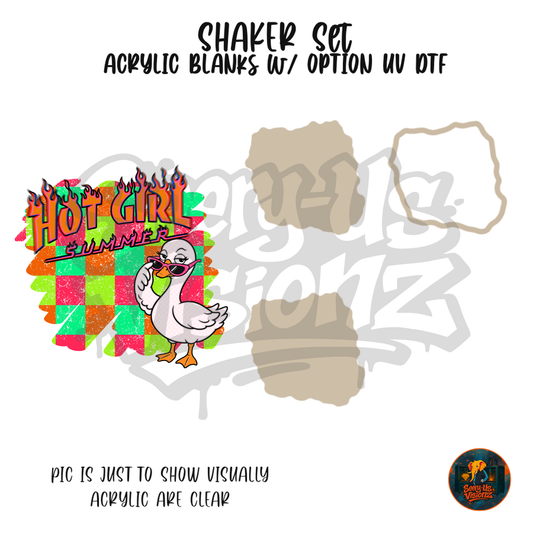 Hot Girl Summer Goose Checkered shaker set acrylic blanks