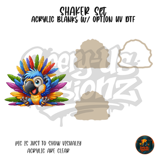 Rainbow Feather Friend shaker set acrylic blanks