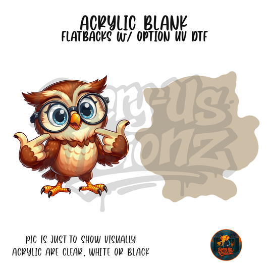 Owl Pointing Glasses acrylic blank, Acrylic & UV DTF Print