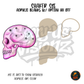 Pink Starry Skull shaker set acrylic blanks