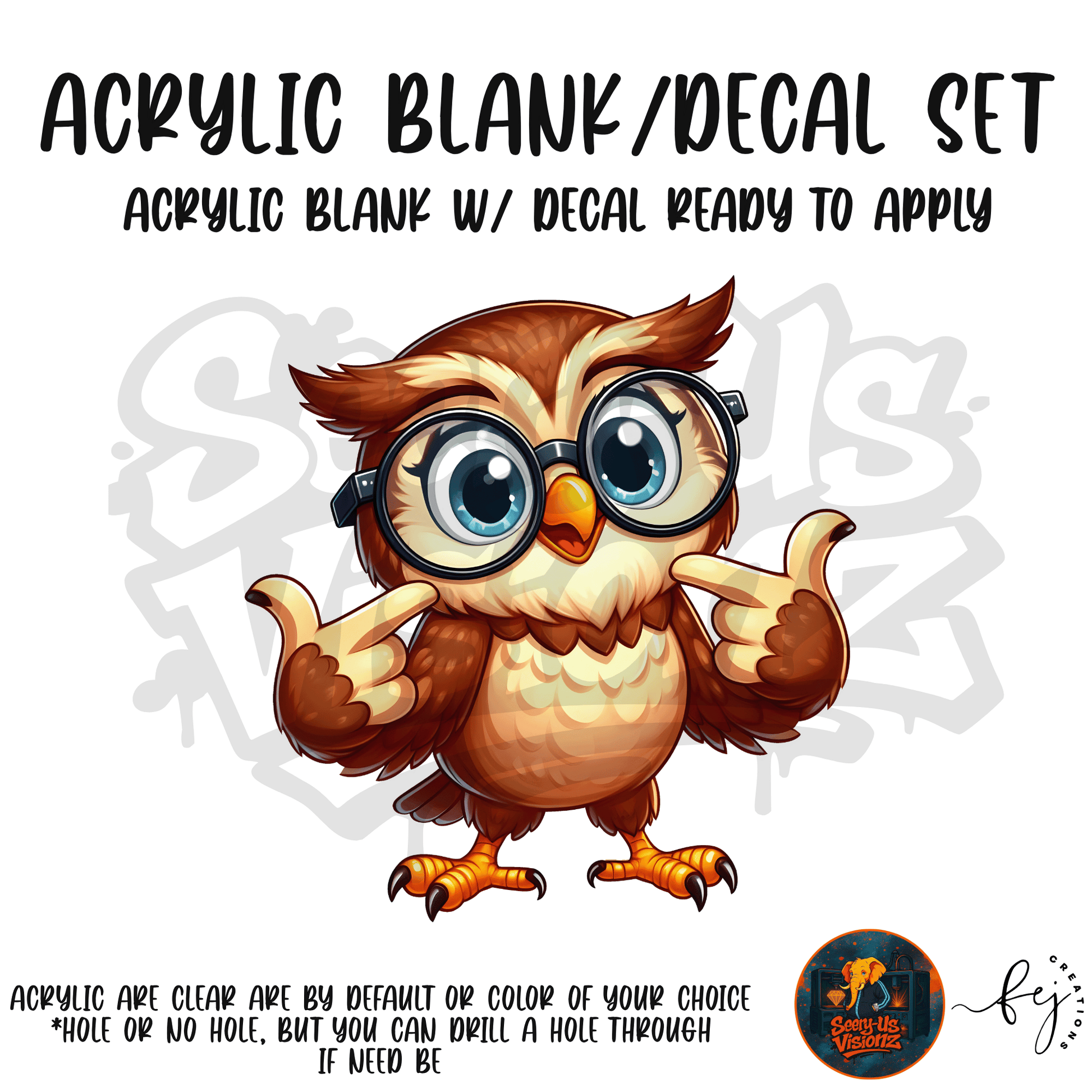 Wise Little Owl themed acrylic blank with hole at top, multipurpose crafting shape
